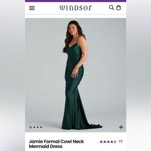 NWT - Windsor “Jamie” Formal Cowl Neck Mermaid Dress